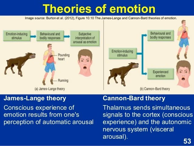 😊 Cannon bard theory of emotion psychology. Psychology CANON. 20190226