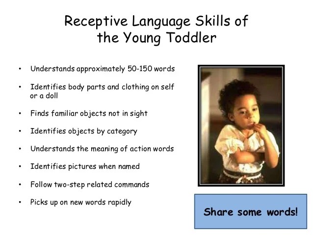 Receptive Language Skills 2012