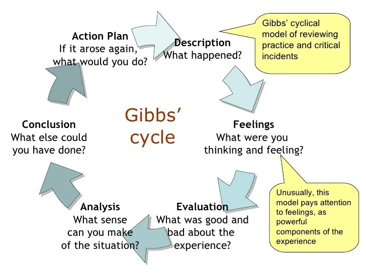 Criticial Evaluation