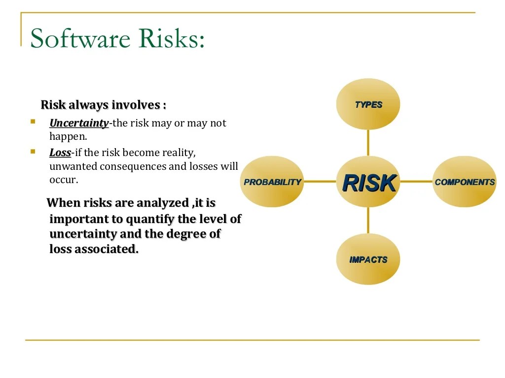 Risk management(software engineering)