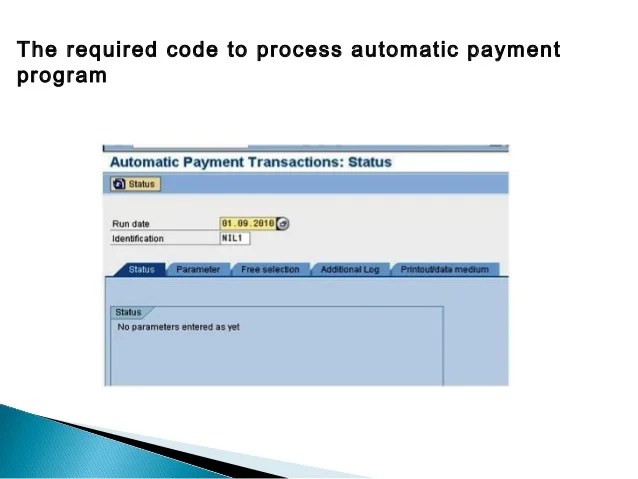 SAP Automatic Payment Program Process Scale Down Your Work Load