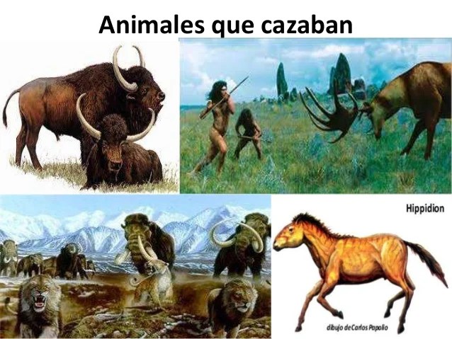 SebastiÃ¡n