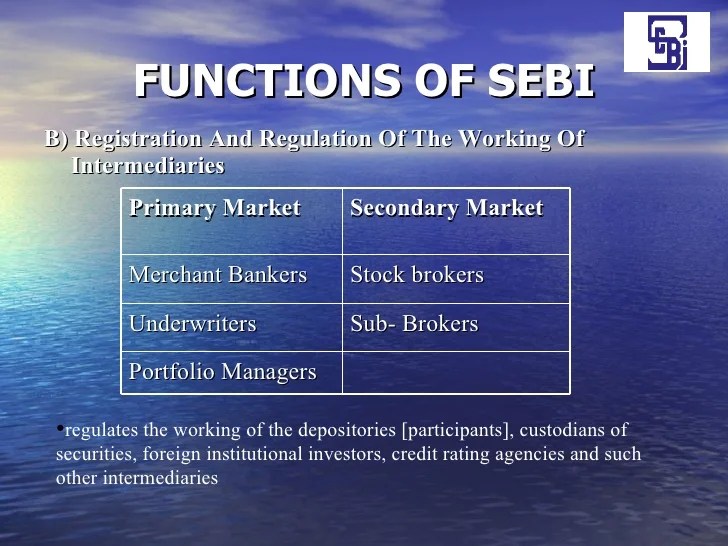 Sebi role and_functions