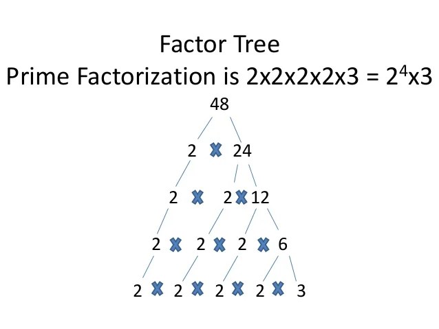 What Is A Prime Factorization Of 48 slidedocnow