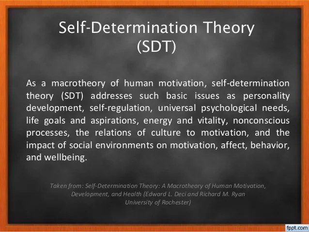 Self determination theory