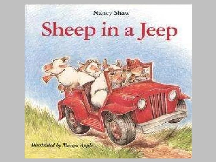 Sheep in jeep
