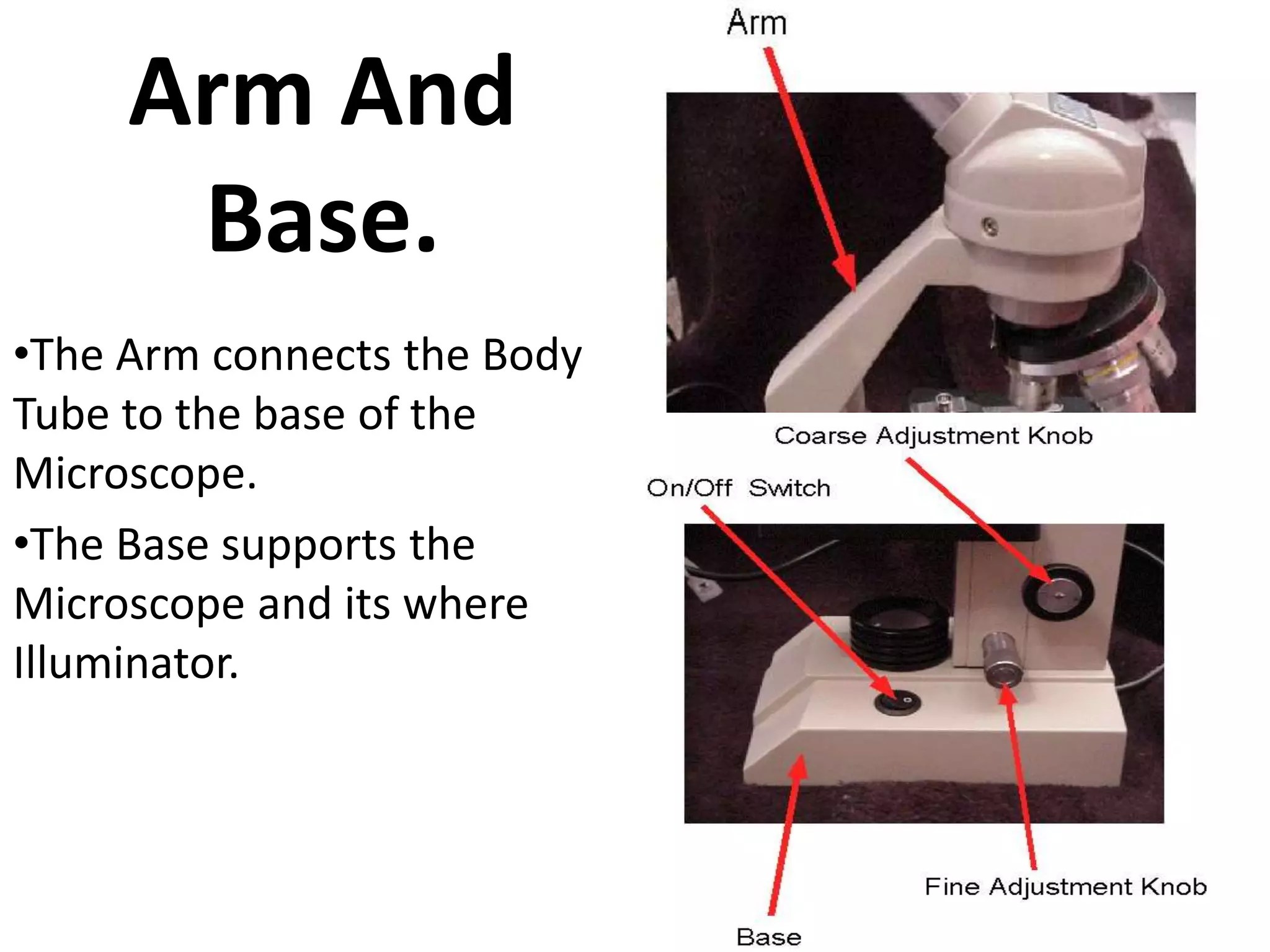 compound microscope (basic) | PPTX