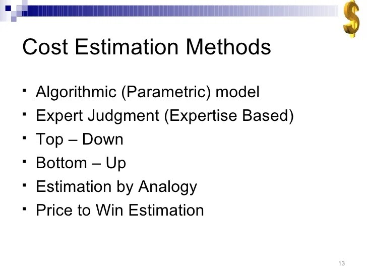 Software cost estimation