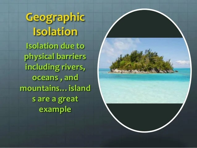 Speciation