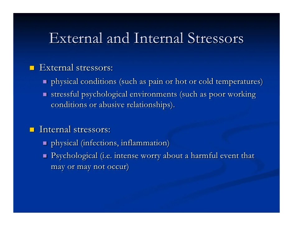 Stress & Memory