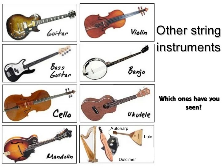 String family