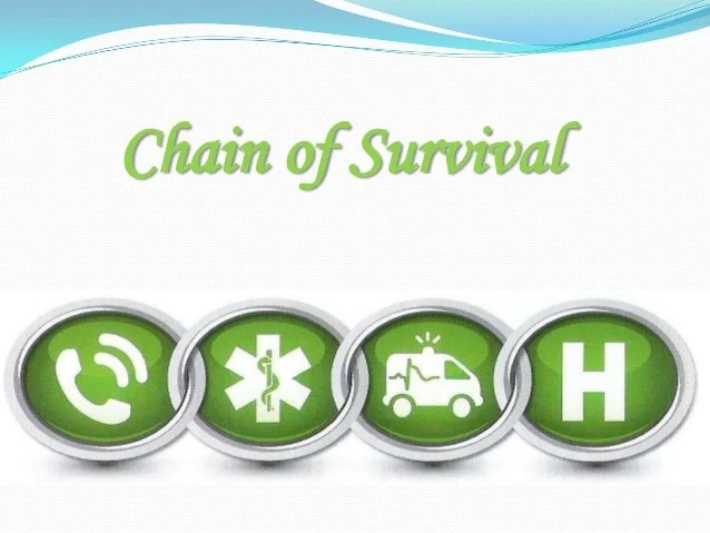 Stroke protocol .. Dina Ashraf (ZUHP team 20122013 )