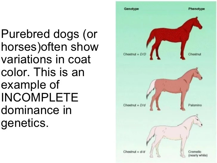 Study guide
