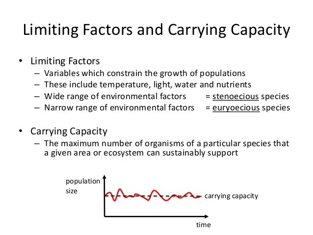 Summary of topic 2.6