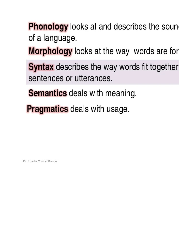 Syntactic categories, by dr. shadia yousef banjar.ppt