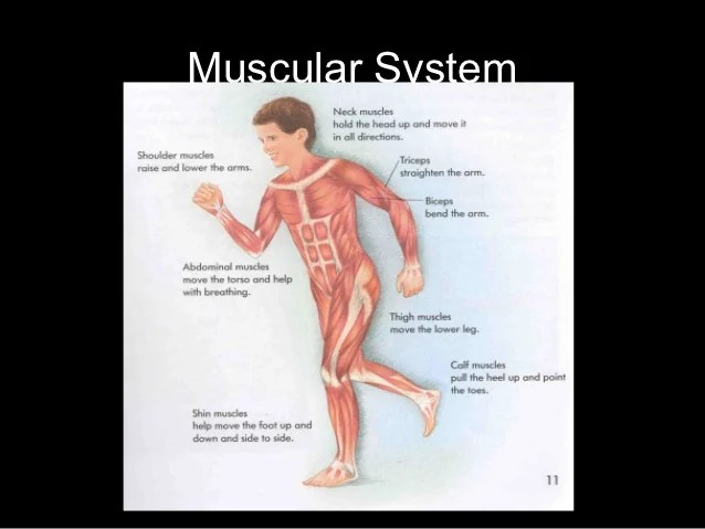 System interactions