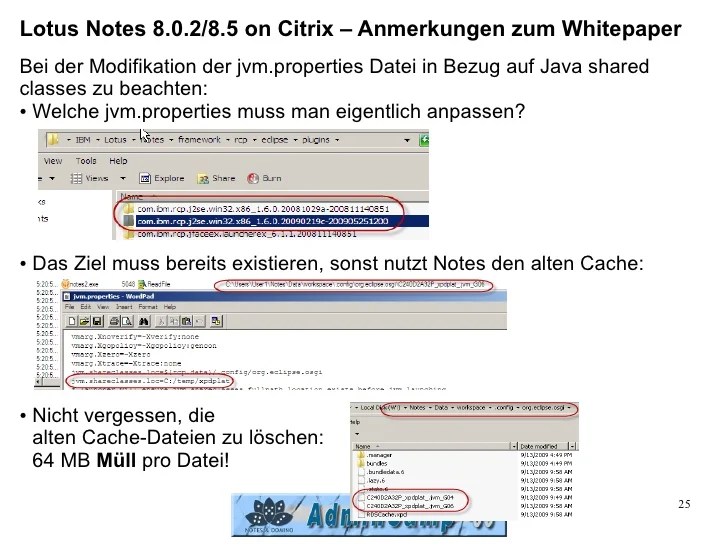 T4 S1 Lotus Notes On Citrix