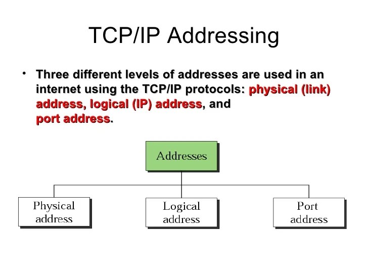 TCP IP Addressing
