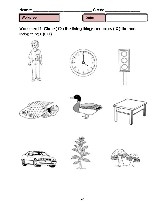 dlp science year 1 exam paper fundacionfaroccr