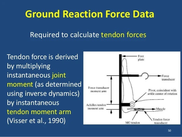 Tendon Mechanics Lecture