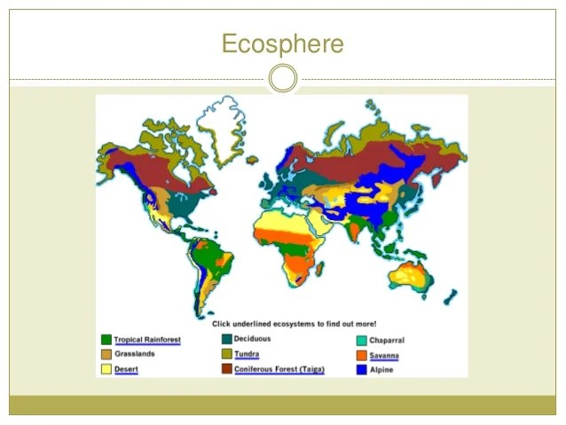 Terrestrial Ecosystems