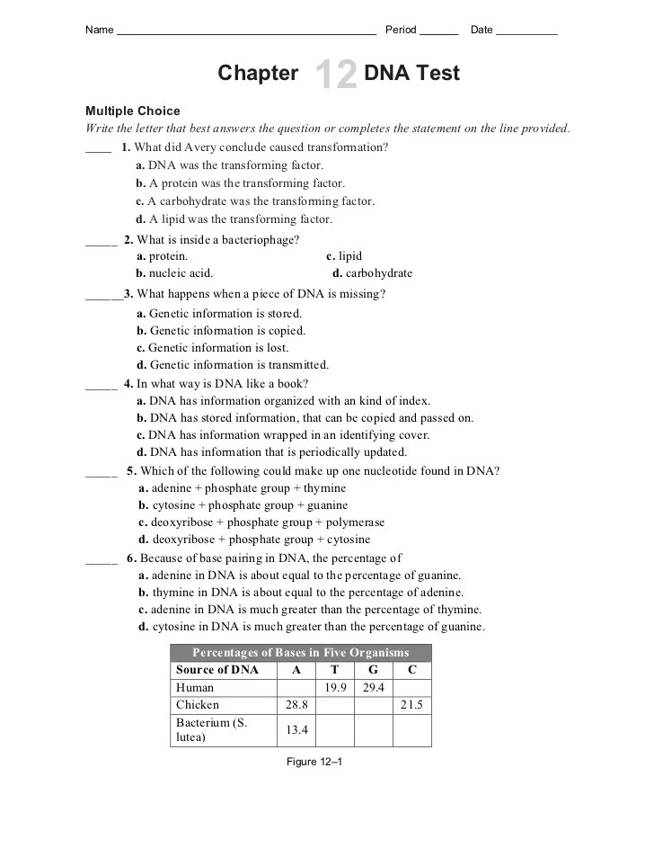 chapter 12 test 1 728 - Chapter 12 Dna And Rna Chapter Vocabulary Review Answer Key