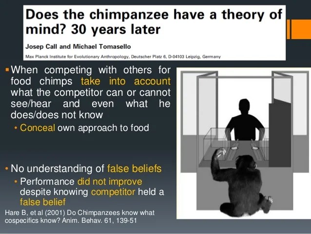 Theory of Mind Seminar presentation