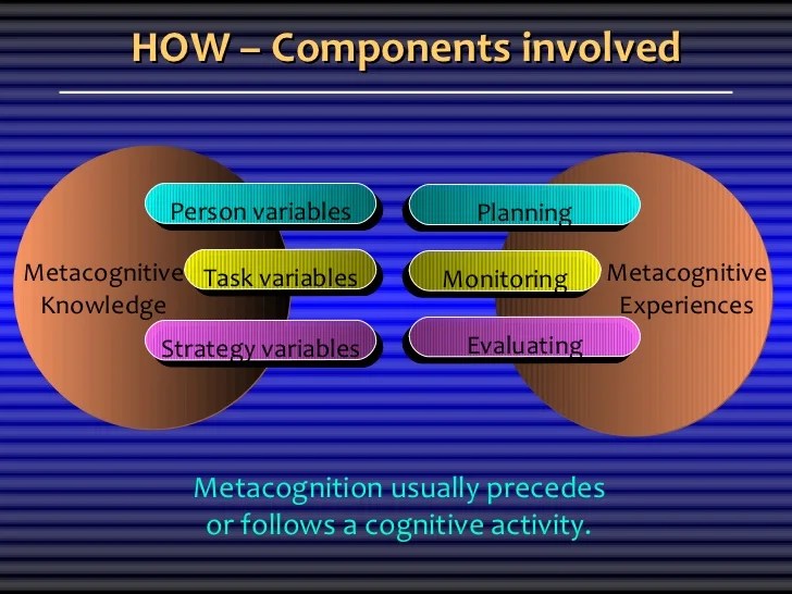 The role of metacognitive knowledge in the processing