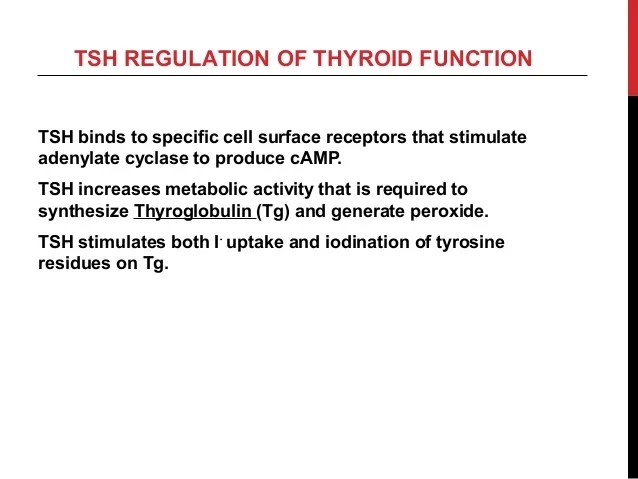 Thyroid Function Tests by Dr. Smily