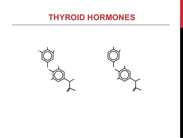 Thyroid Function Tests by Dr. Smily