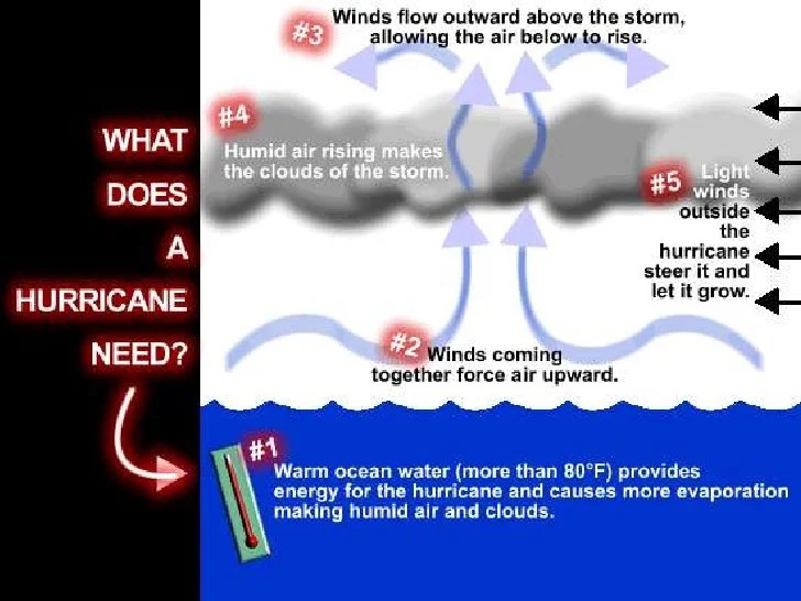Tropical Storms Revision Guide