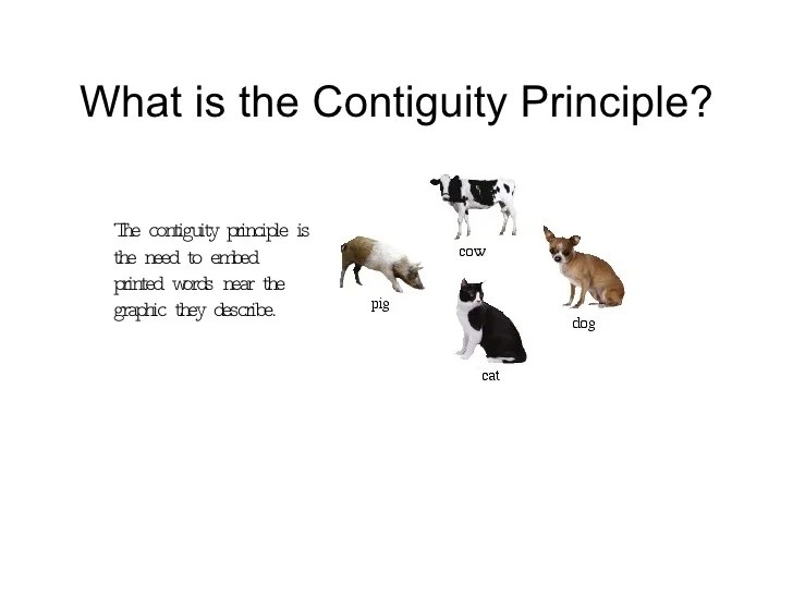 Applying the Multimedia & Contiguity Principle