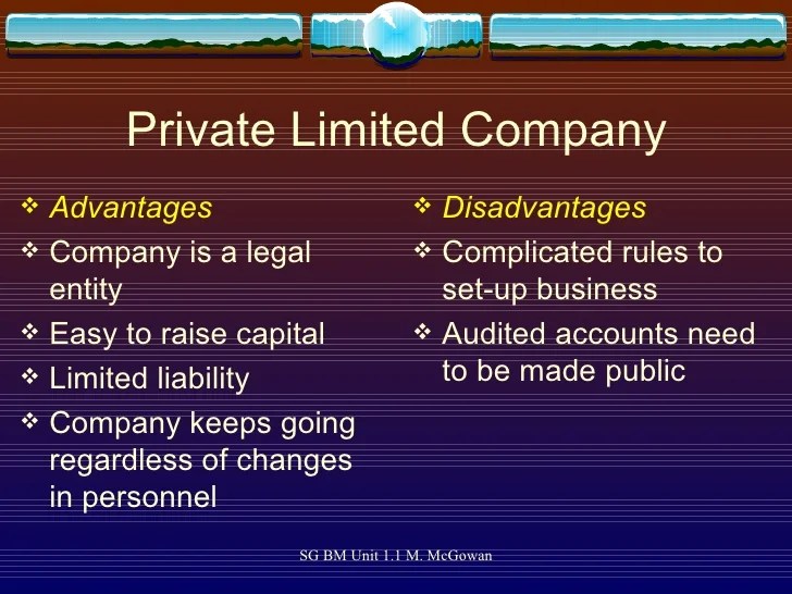 Private Limited Company Advantages & Disadvantages