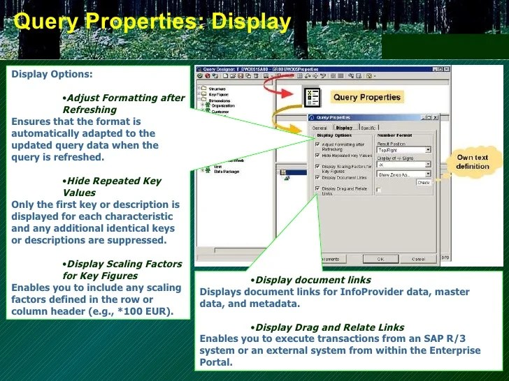 Bex Query Designer Query Properties http//sapdocs.info