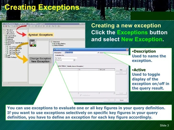 Bex Query Designer Exceptions And Conditions http//sapdocs.info