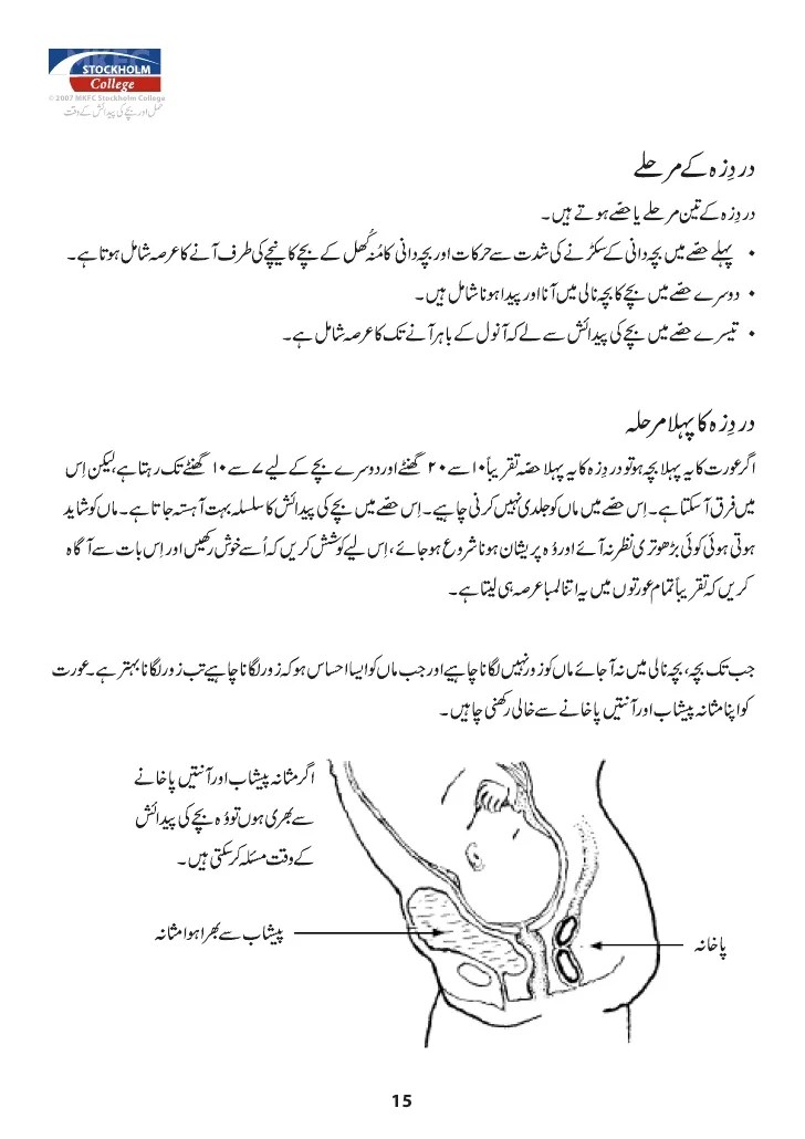 Pregnancy Guide Book In Urdu Pdf PregnancyWalls