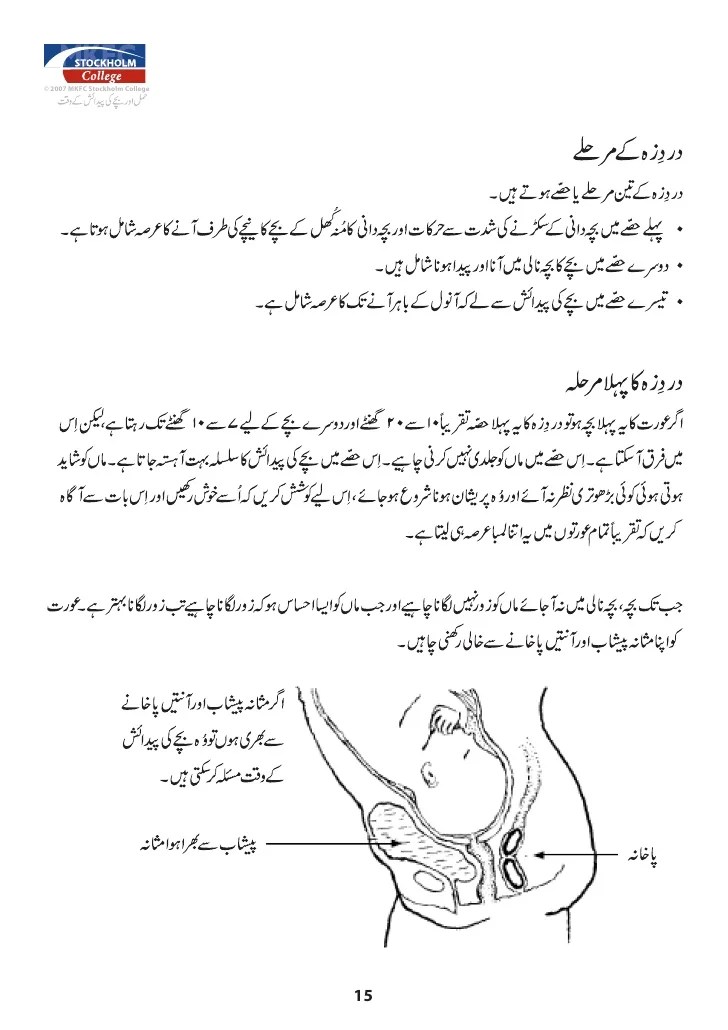 Pregnancy Guide Book In Urdu Pdf PregnancyWalls