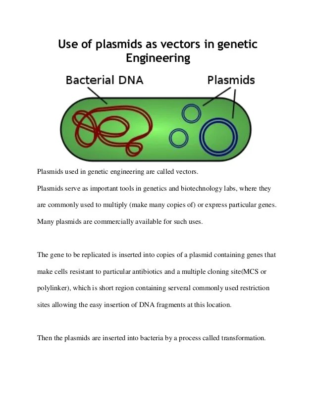 Use of plasmids as vectors in Engineering