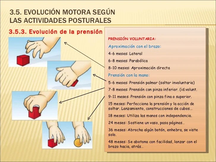 Ut 3 Desarrollo Motor