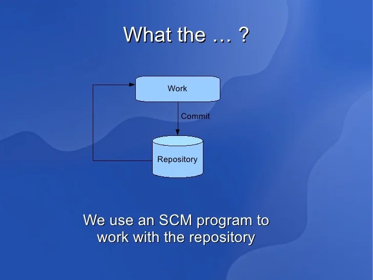 Source Code Management systems