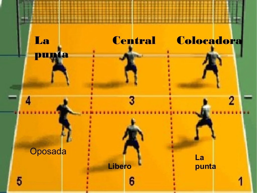 Voleibol