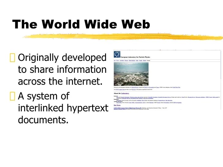 Week 2 Purpose of a website