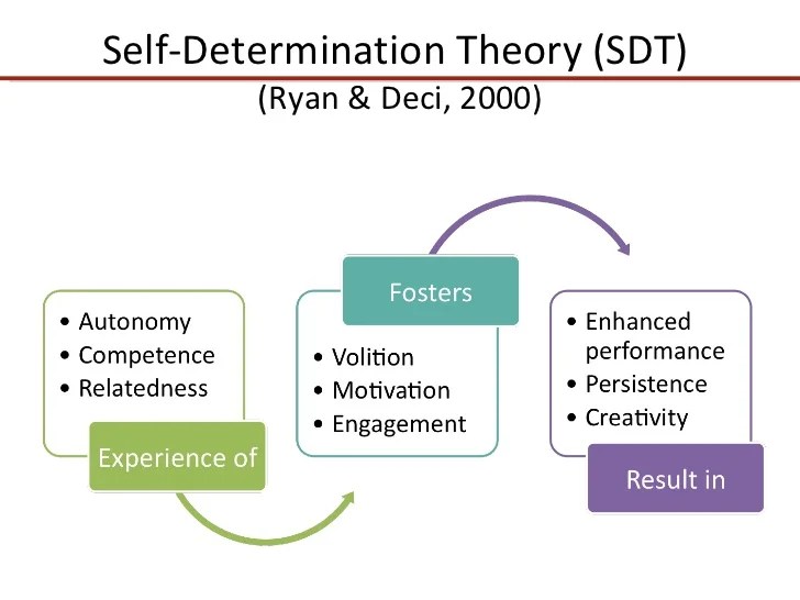 StudentGenerated Content Powered by Web 2.0 and Motivation Theories