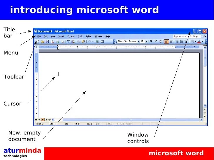 Microsoft Office Word Basics Training