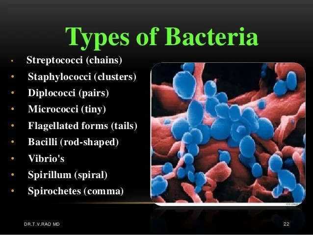 What is Infection
