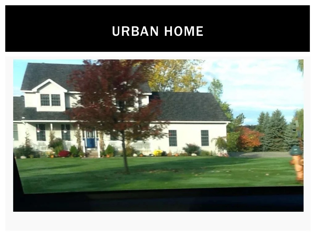 Windshield survey