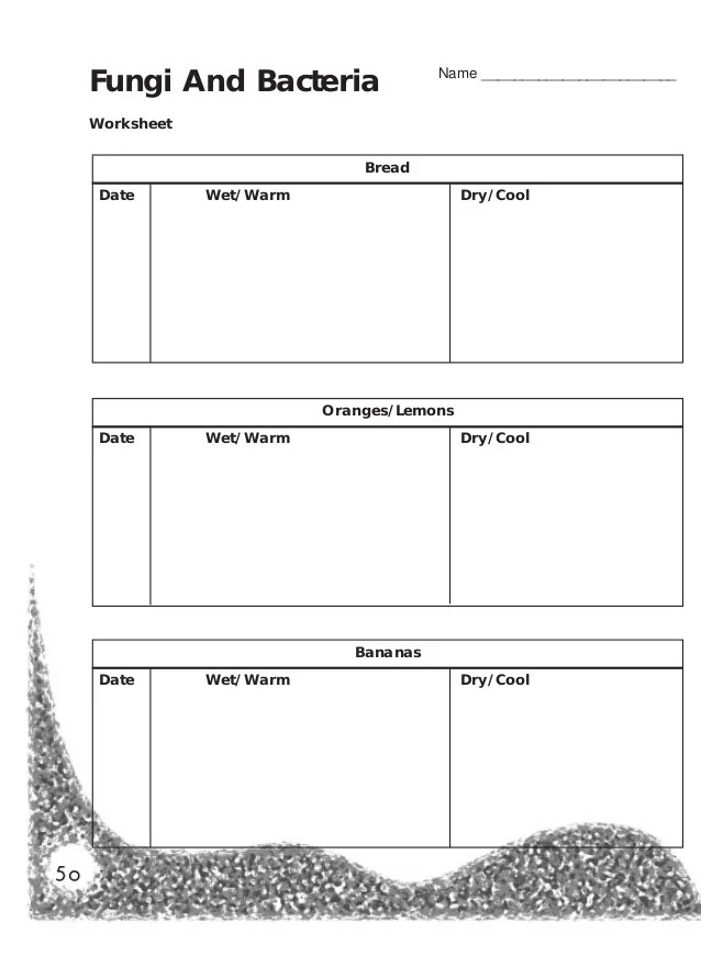 Classroom Activities