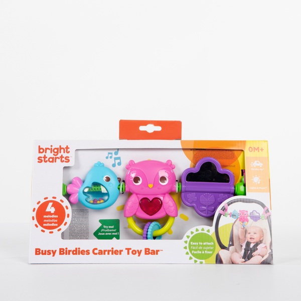 Bright Starts Busy Birdies Carrier Toy Bar Pink Smyths