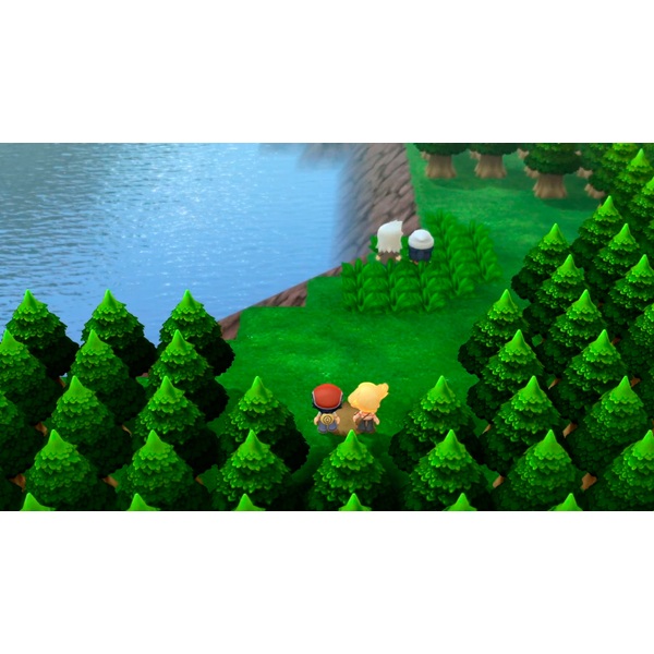 Pokémon Brilliant Diamond and Pokémon Shining Pearl Nintendo Switch