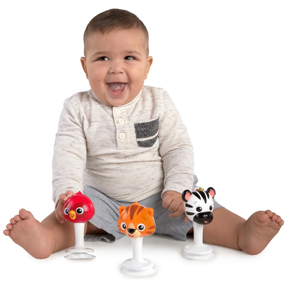 Baby Einstein Rattle And Jingle Trio TakeAlong Musical Rattle Set